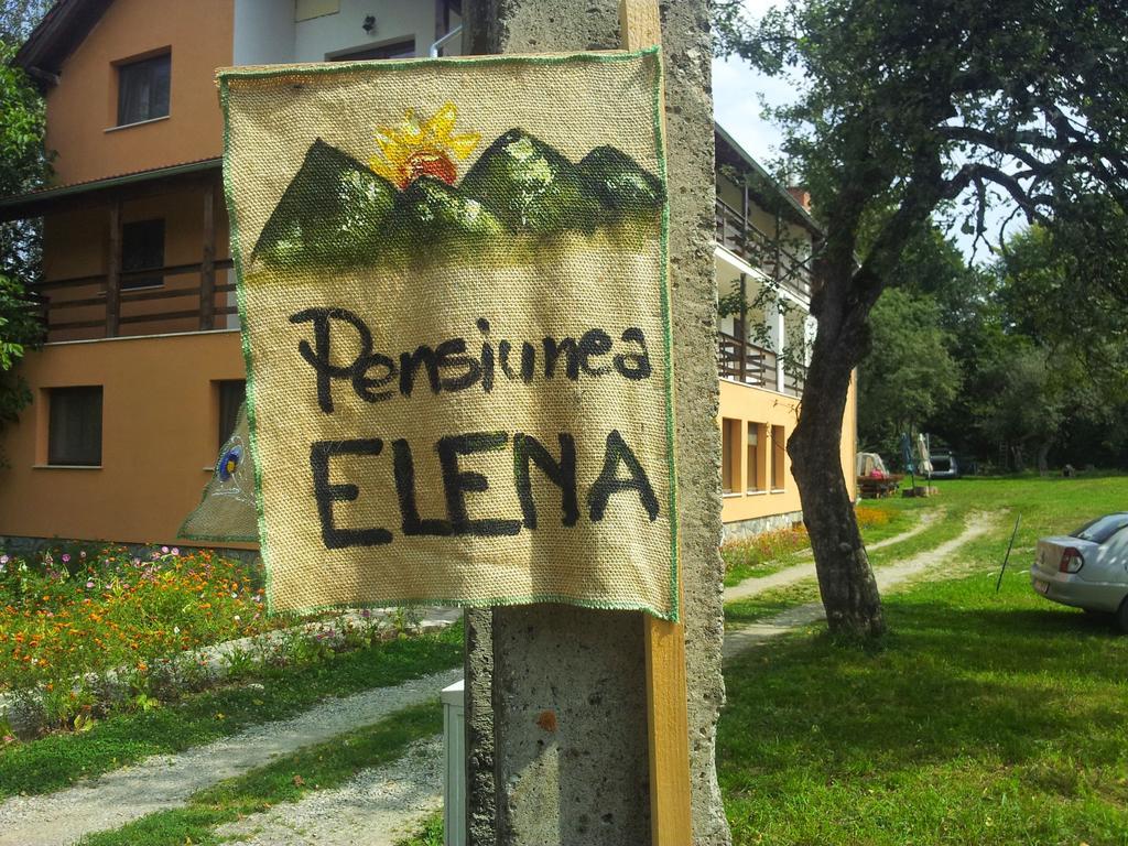 Pensiunea Elena Vistisoara Værelse billede